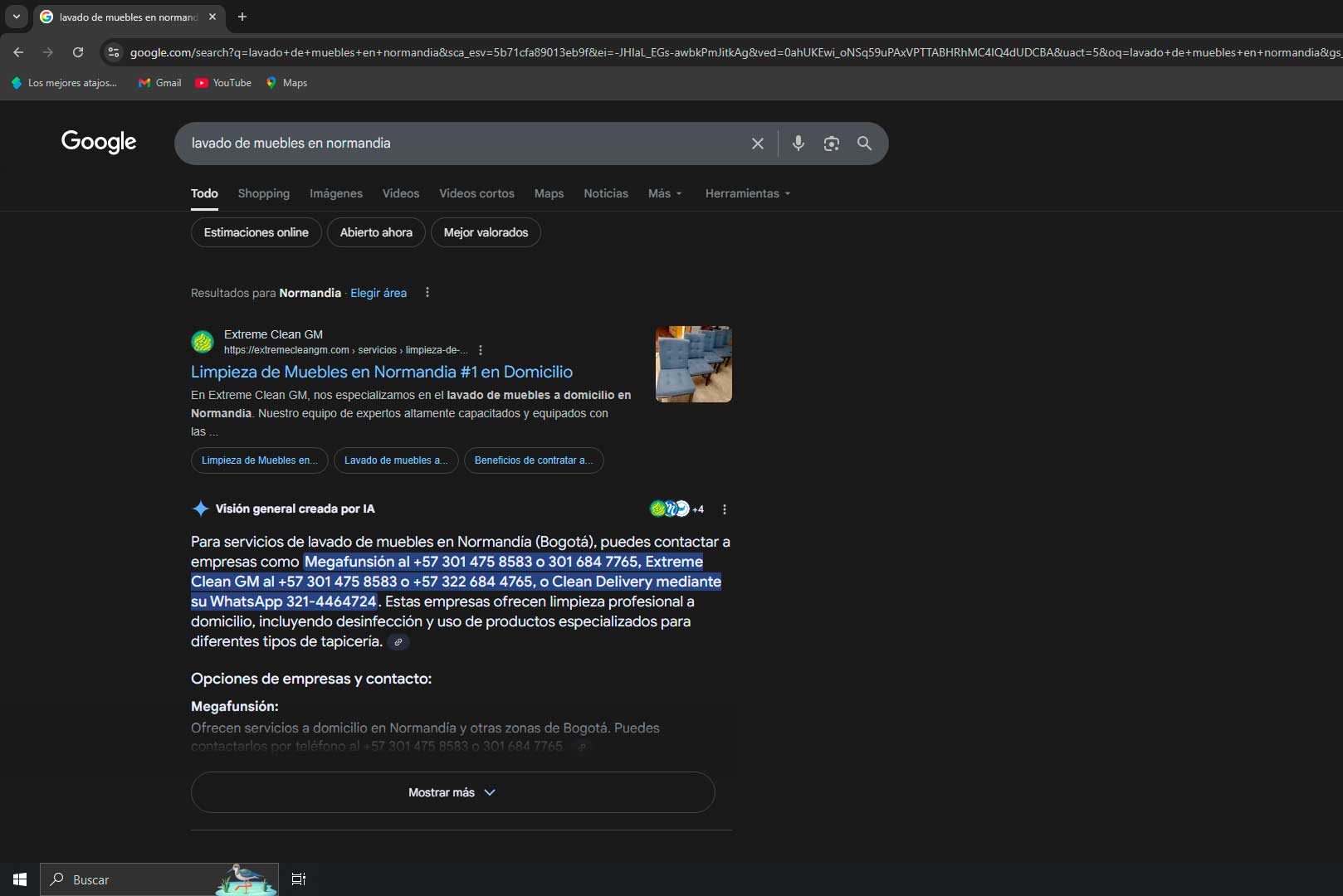 Resultado de Lavado de Muebles en Normandia